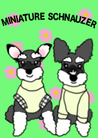 美人姉妹ミニシュナ・アスターとライザ