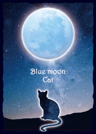 Blue moon Cat