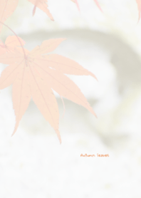 Autumn leaves Theme 7