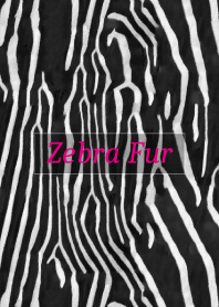 Zebra Fur 20