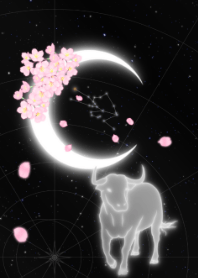 新月-金牛座-