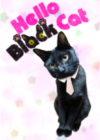 こんにちは黒猫さん!