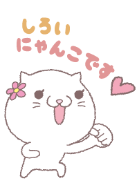 Cutie White Cat. (japanese ver.)