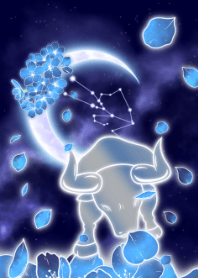 blue cherry blossoms Taurus JPN