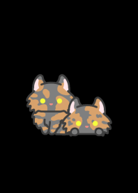 Tortie Curl Cat*darkmode*long-haired*