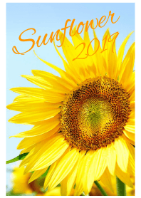 - Sunflower - 4
