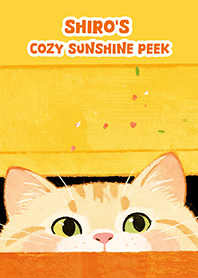 Shiro's Cozy Sunshine Peek