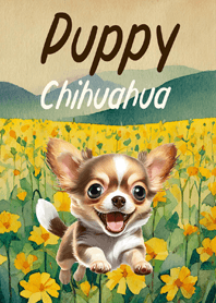 チワワの子犬