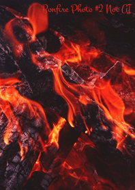 Bonfire Photo #2-26 Not AI
