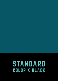 STANDARD COLOR X BLACK THEME 160
