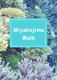 MiyakojimaWalk