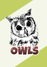 Owls (pencil drowning)