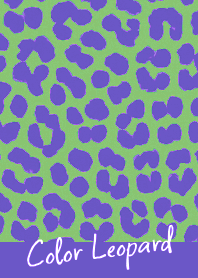 COLOR LEOPARD THEME -24