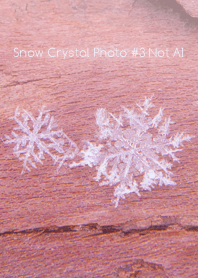 Snow Crystal Photo #3-24Not AI