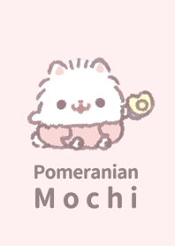 Pomeranian Mochi Baby Line Theme Line Store