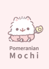 Pomeranian Mochi -Baby-