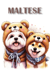 萌狗-瑪爾濟斯托比與柴犬