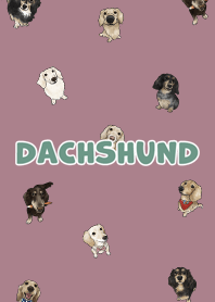 dachshund6 / dark rose