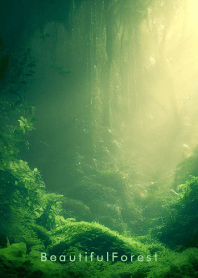 Beautiful Forest - HEALING 12