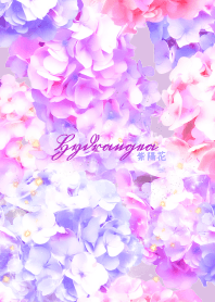 グングン全運気が上がるピンクと紫の紫陽花