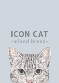 ICON CAT -Mixed breed cat- PASTEL BL/16