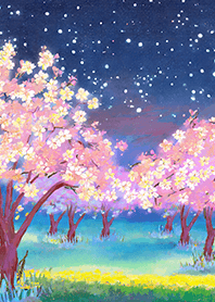 Beautiful night cherry blossoms#2422