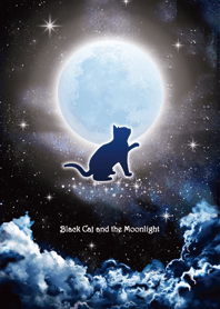 Black Cat and the Moonlight