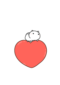 cat staring - 33 - love heart