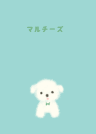 Maltese Dog green