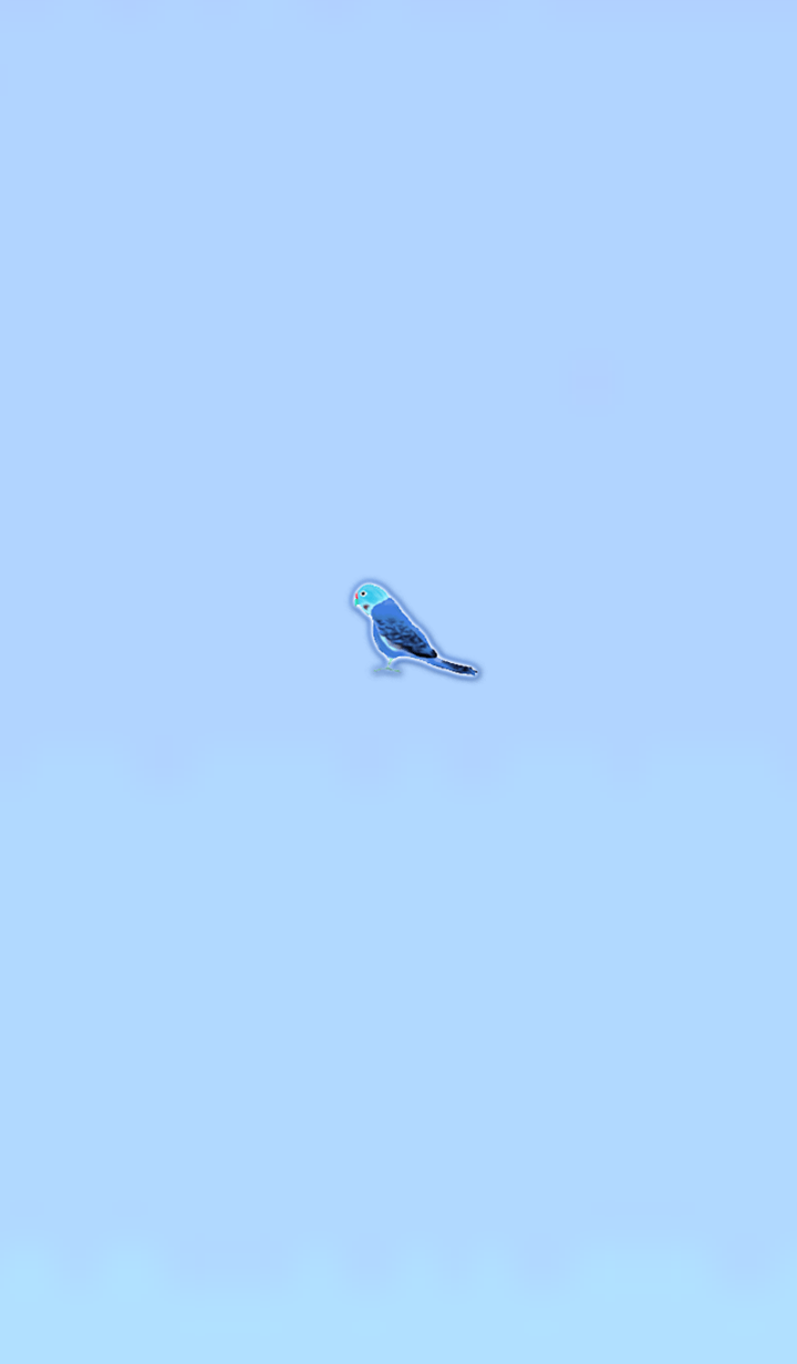 Simple lucky parakeet 4
