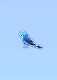 Simple lucky parakeet 4