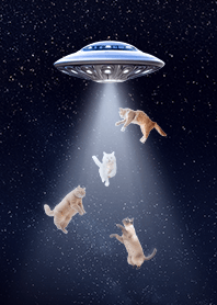 【 宇宙猫 】UFO誘拐 ver