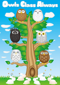 Owls Class Theme