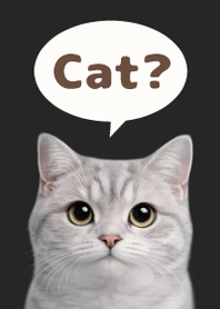 British Shorthair Simples 3 B/W 02