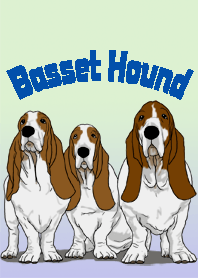 Hello Basset Hound