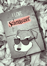 I love schnauzer