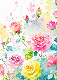 Beautiful rose flower(R4566)