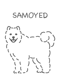 Samoyed simple white