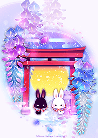 Theme of Rabbits and Wisteria flowers
