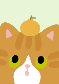 Lucky Orange Cats_White/Green