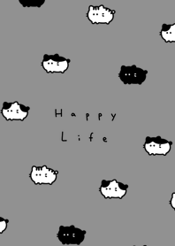 圓圓貓 | gray black