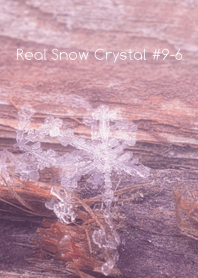 Real Snow Crystal #9-6
