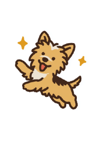 Lucky Woof: Shining Yorkie