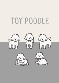 ゆるっとホワイトトイプードルさん