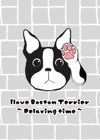 Ilove Boston terrier -Relaxing time-
