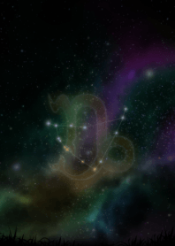 星空与摩羯座