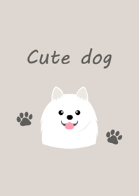 白色高貴博美犬