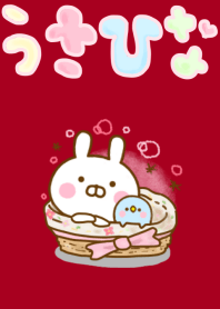 Rabbit Usahina Cute Adult