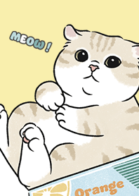 neko single17 / lemonade