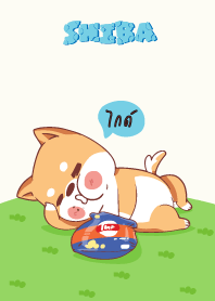 ไกด์ ใครไม่บะ ชิบะ 4 V06